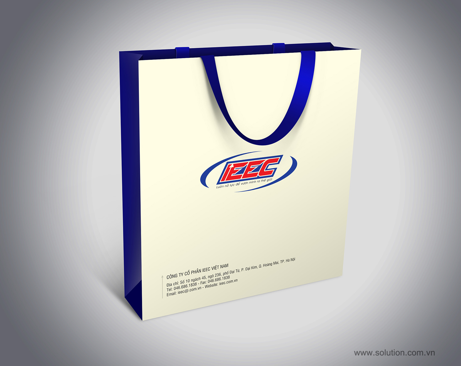 Mẫu thiết kế túi giấy Công ty IEEC