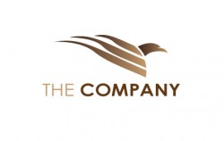 Tổng hợp thiết kế logo lấy ý tưởng hình chim đại bàng