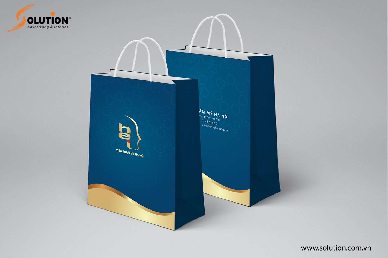 Mẫu thiết kế túi giấy trong thiết kế bộ nhận diện thương hiệu Thẩm mỹ viện Hà Nội