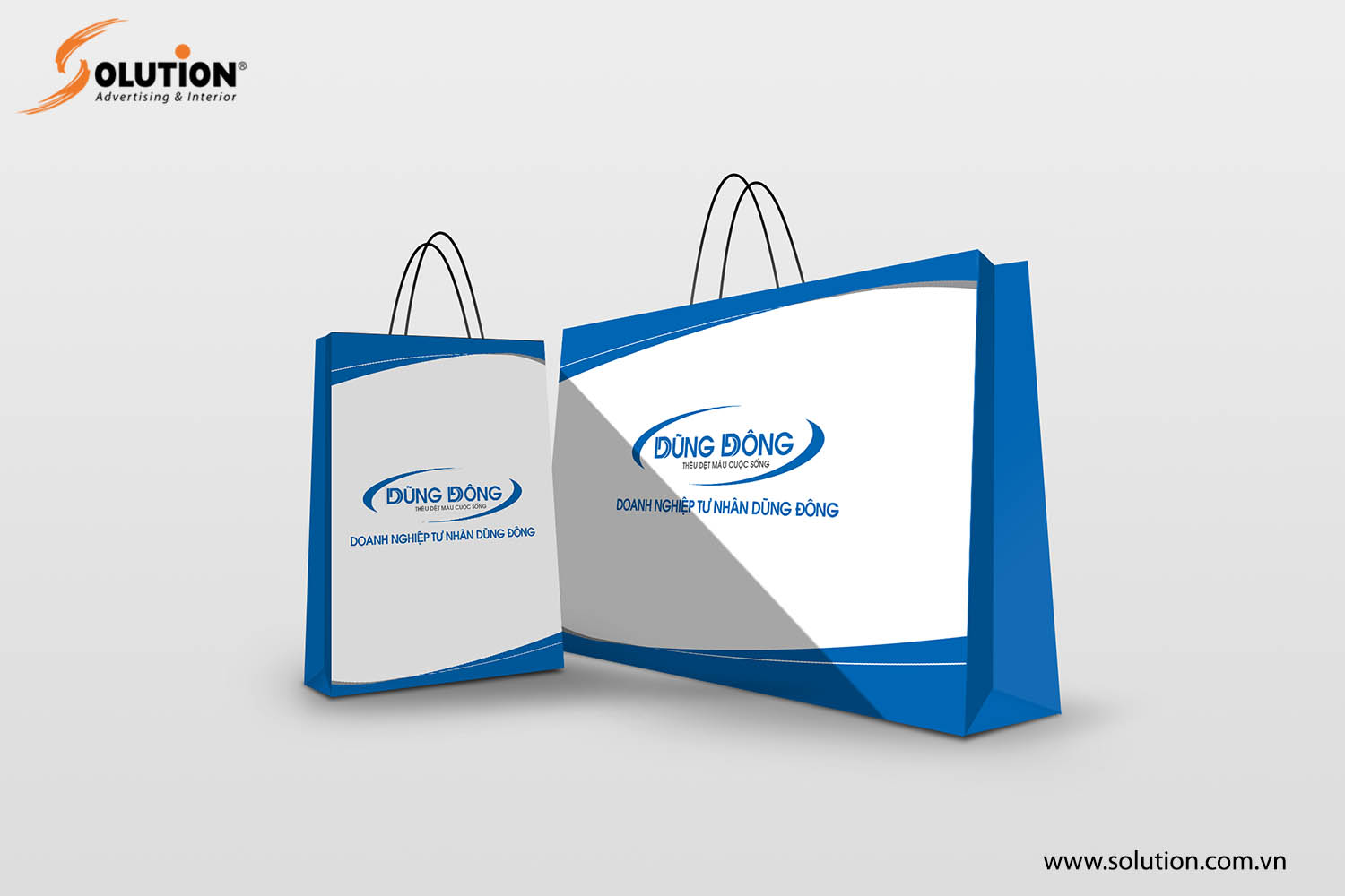 Thiết kế mẫu túi giấy bộ nhận diện thương hiệu công ty Dũng Đông