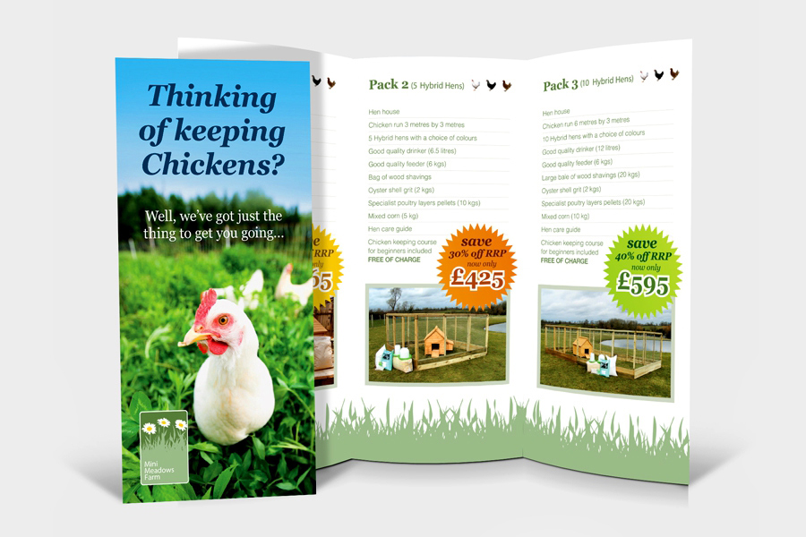 thiet-ke-leaflet-3 thiet-ke-leaflet-3