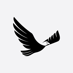 thiet-ke-logo-hinh-chim-dai-bang-5