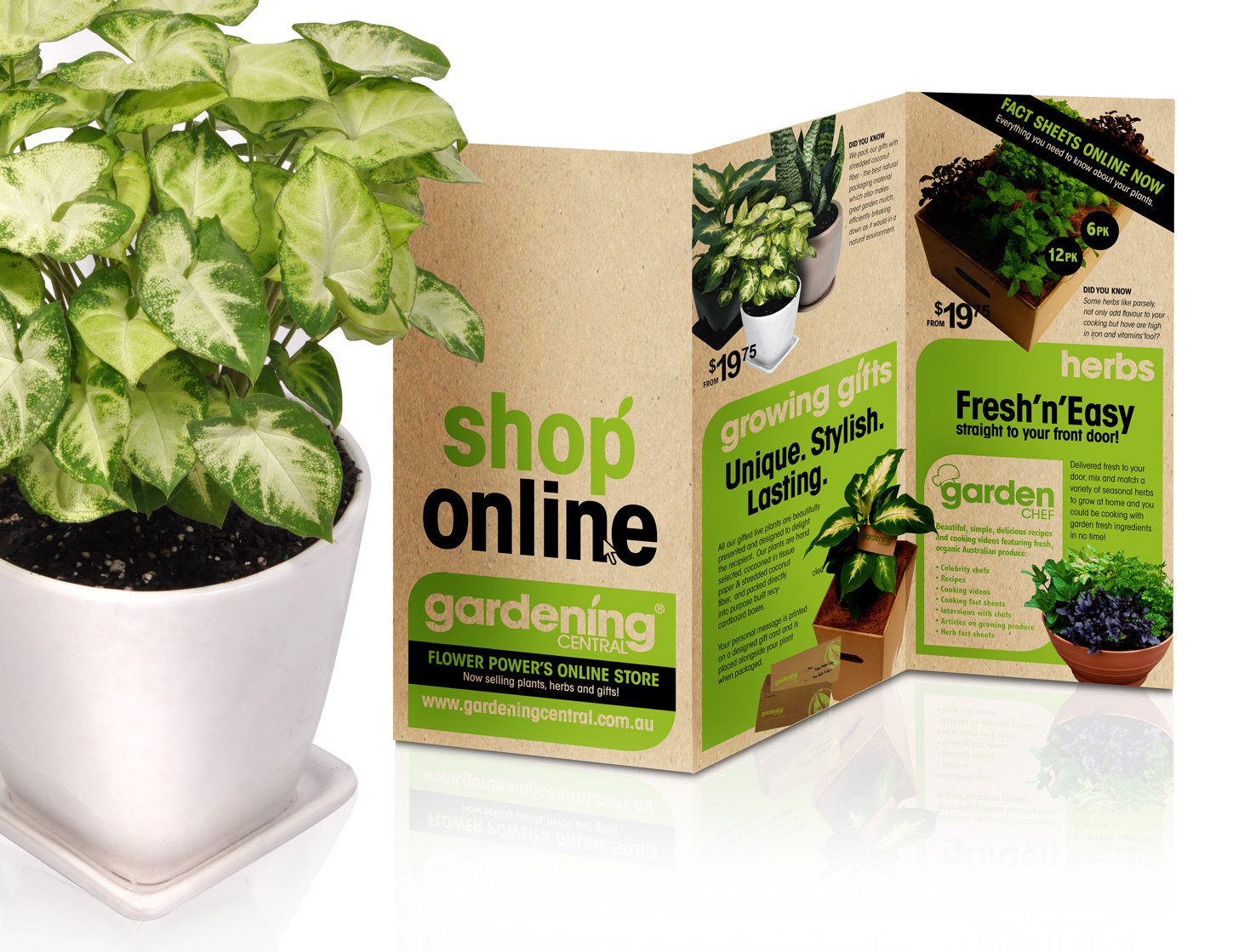 thiet-ke-to-roi-chuyen-nghiep thiet-ke-to-roi-chuyen-nghiep