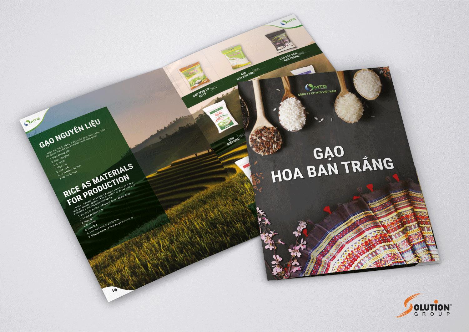 Phân biệt Profile, Brochure, Catalogue là gì