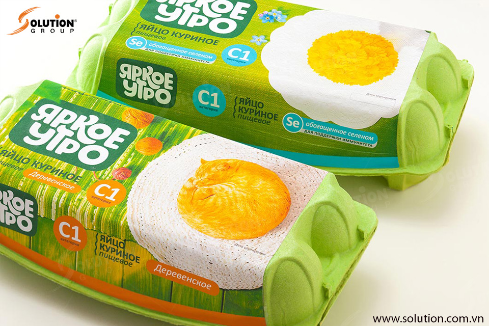 Thiet-ke-bao-bi-san-pham-chuyen-nghiep