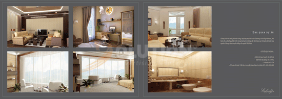 HÌNH ẢNH MẪU THIẾT KẾ BROCHURE CÔNG TY HIM LAM