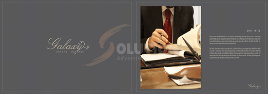 MẪU THIẾT KẾ BROCHURE CTY HIM LAM